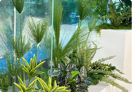 Ảnh dịch vụ 4