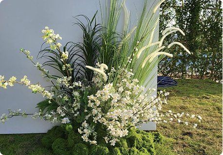 Ảnh dịch vụ 4