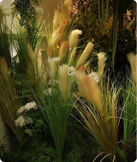 Ảnh dịch vụ 1